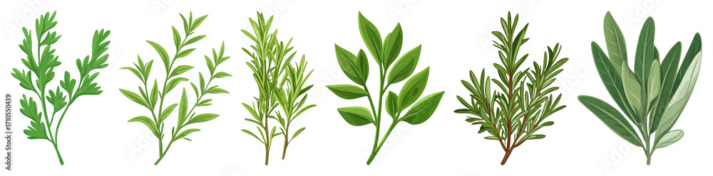 Fototapeta premium PNG Herbs collection illustration greenery, element set on transparent background
