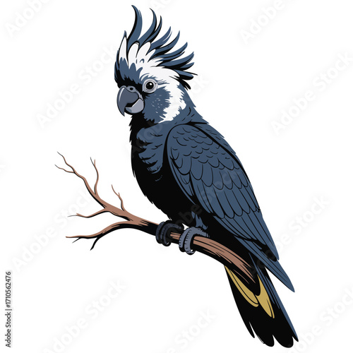 parrot on a branch