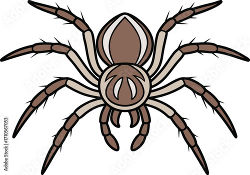 Spider Insect Close Up. Black Widow Spider Illustration. Tarantula Spider Wildlife Art. Spider Web Detailed Design. Jumping Spider Macro Artwork. Orb Weaver Spider Scene. Wolf Spider Creeping Pose