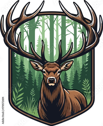 deer in a forest