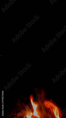 A bonfire burns at night in the forest. A bright flame of fire.