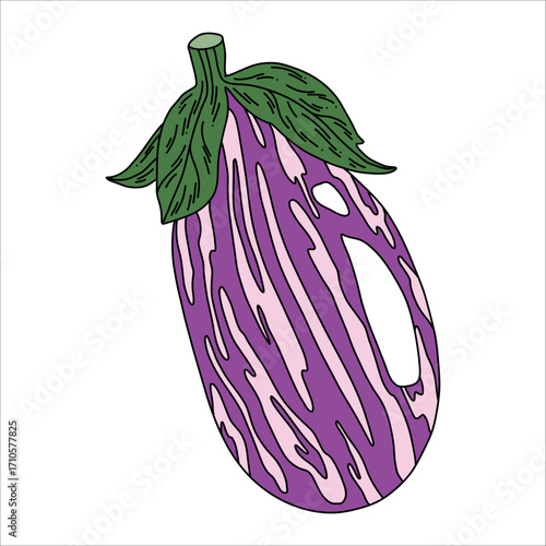 Cartoon style violet eggplant vegetable illustration isolated
