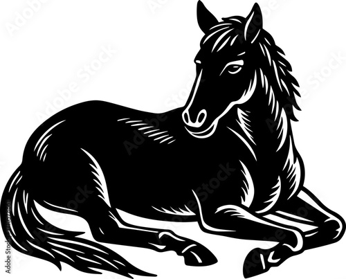 horse vector illustration