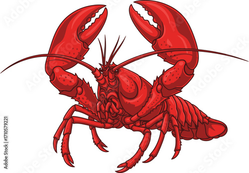 crayfish on white