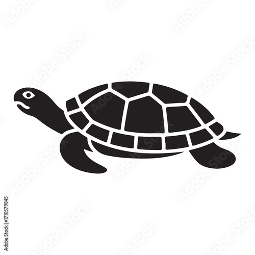 Cute cartoon turtle illustration with vibrant colors