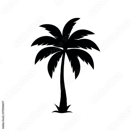 Black silhouette of a palm tree isolated on white background