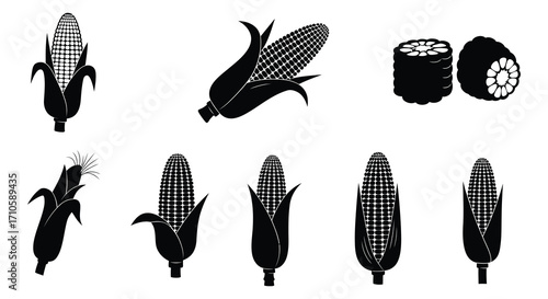 Illustrative collection of corn cobs in various stages and designs