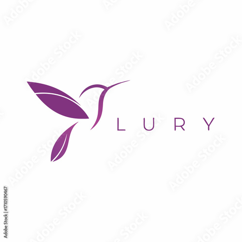 logo colibri bird flaying bird modern minimalist