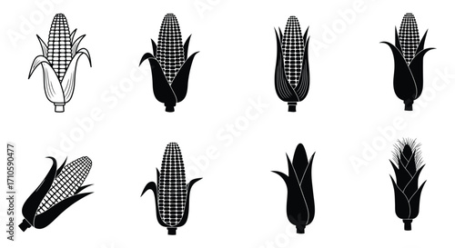 Black and white illustrations depicting different styles of corn on the cob