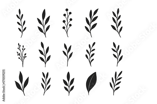 A minimal feminine botanical vector set showcasing floral branches, rustic herbs, elegant leaves, and trendy greenery silhouettes, perfect for weddings and modern design.