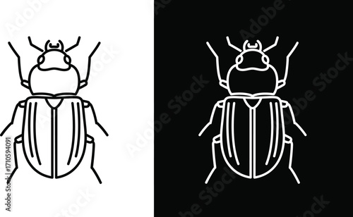 Beetle insect line art vector illustration black and white