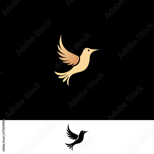 Graceful Flying Bird Logo with Two Backgrounds.