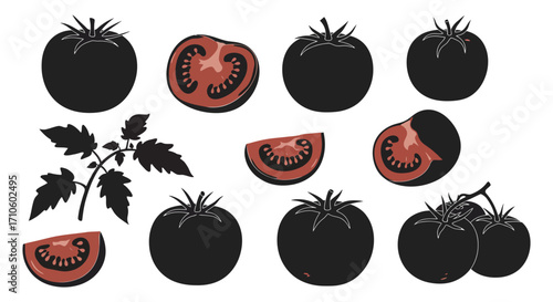 Stylized illustration depicting whole and sliced tomatoes with leafy green stems