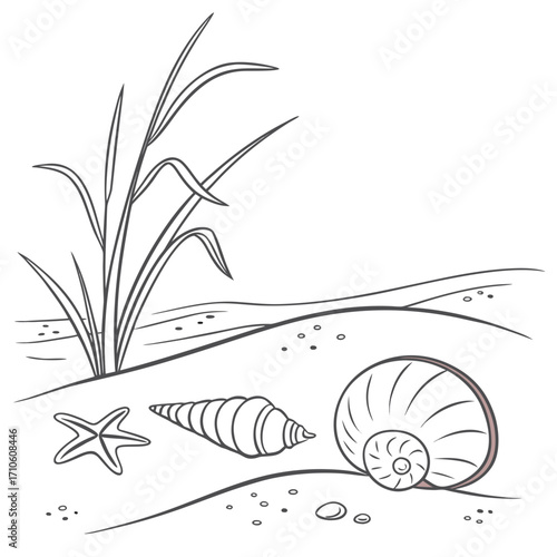 Illustration of seashells and a starfish on a sandy beach with grass, perfect for summerthemed designs and educational materials