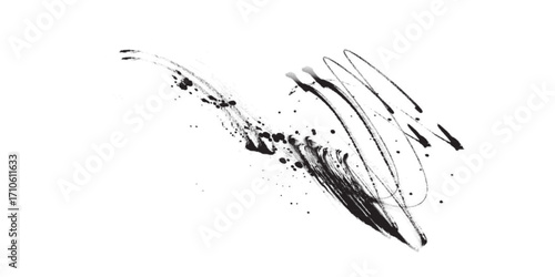 Dynamic Black Ink Splatter and Brush Strokes on White.