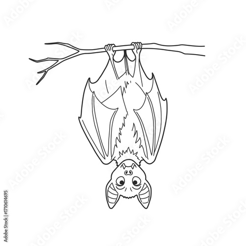 Hanging bat vampire upside down for Halloween spooky creature cartoon illustration