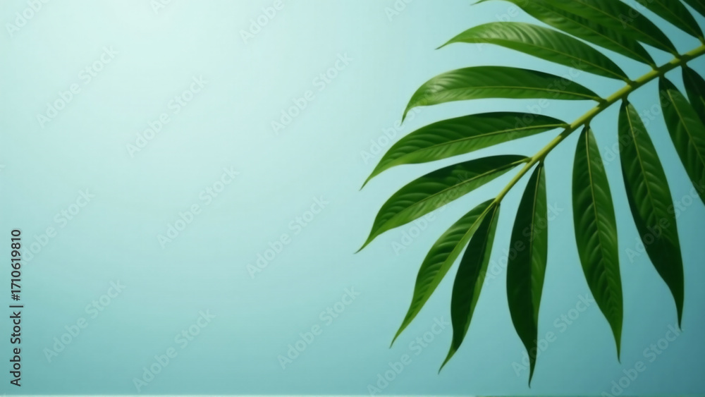 Fototapeta premium Serene Blue Palm Leaf Solitaire with Copy Space