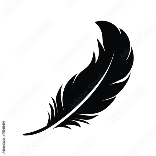 A single elegant black feather gently curves against a pristine white canvas clearly