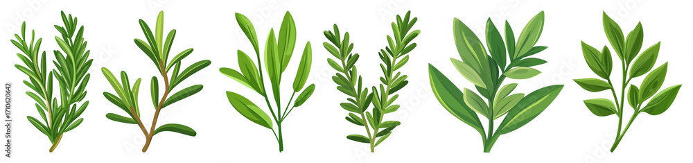 Fototapeta premium PNG Green botanical leaf illustrations, element set on transparent background