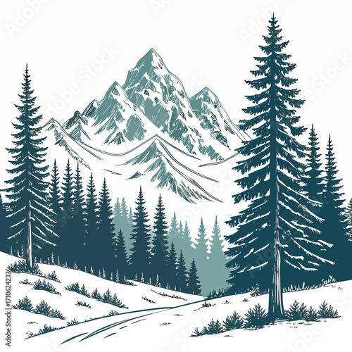 Majestic snow capped mountains rise behind a dense forest of pine trees in a serene winter landscape