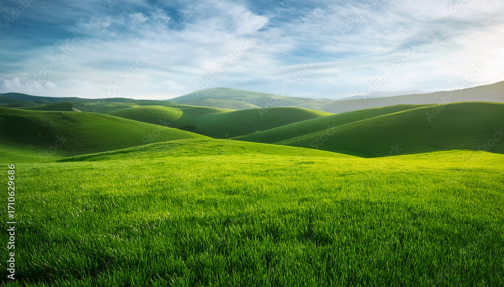 Fototapeta premium Lush Emerald Grass Field With Perfect Texture Stretching Across Natural Landscape