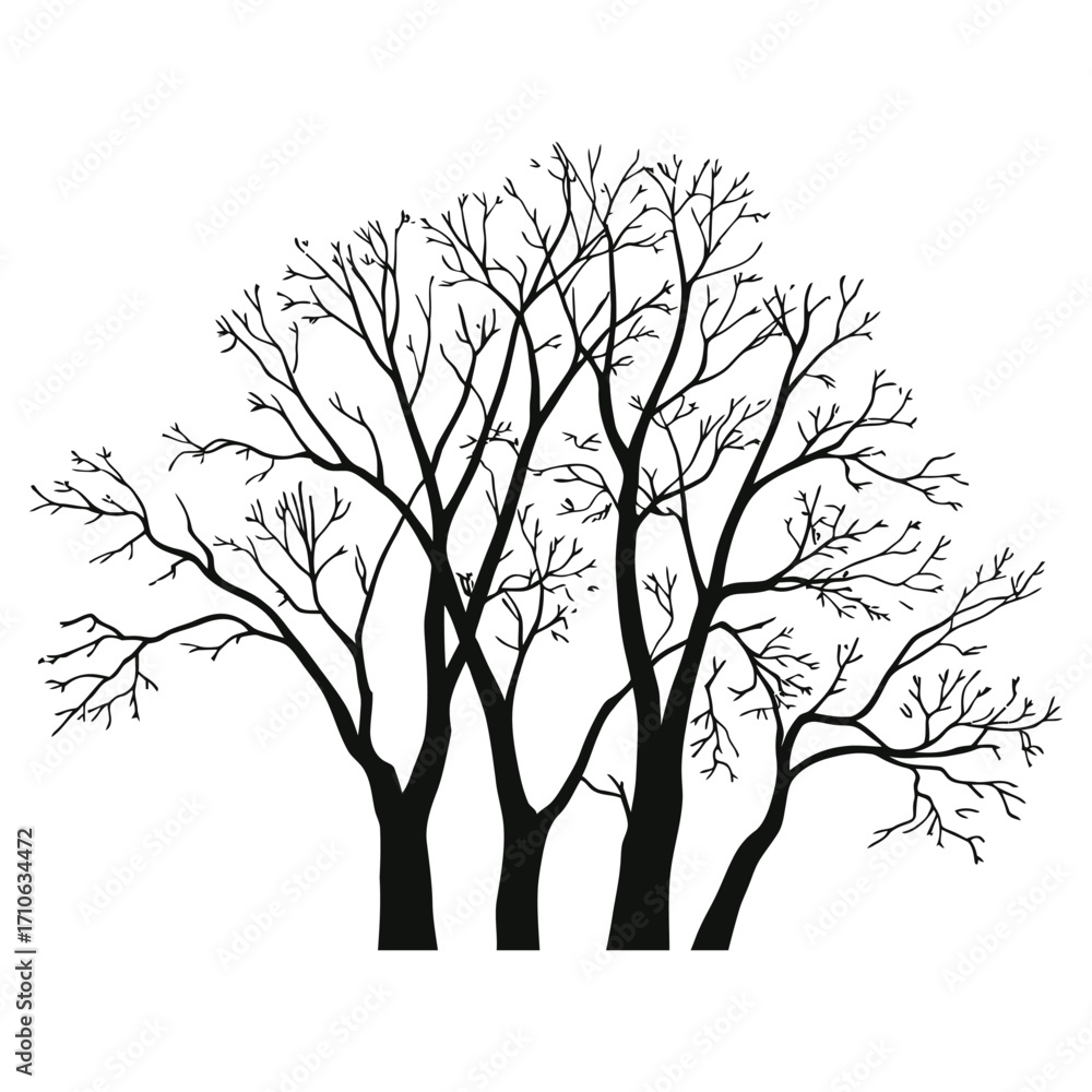 Fototapeta premium Detailed silhouette of bare winter trees branching out against a white backdrop