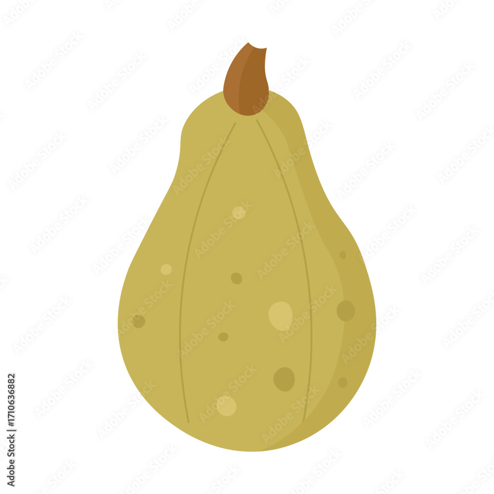 custom made wallpaper toronto digitalCartoon yellow or pumpkin squash gourd with stem illustration.