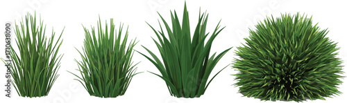 Realistic set of various green plant and grass illustrations. Isolated collection of lawn tufts and a round bush for nature and garden design elements