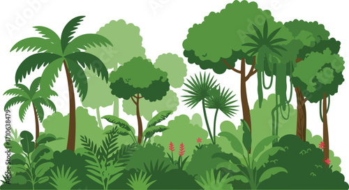 A vibrant, stylized illustration of a dense tropical jungle with various trees, lush foliage, and undergrowth, depicting a rich natural environment.
