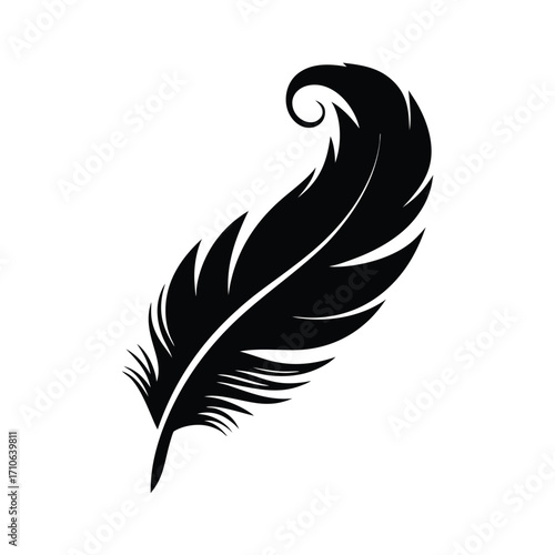 Bold black feather shows distinct texture and intricate curl on a plain background