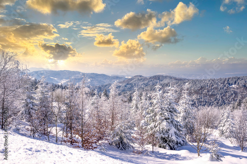 Wallpaper Mural Zauberhafte Winterlandschaft auf dem Schliffkopf, Schwarzwald  Torontodigital.ca