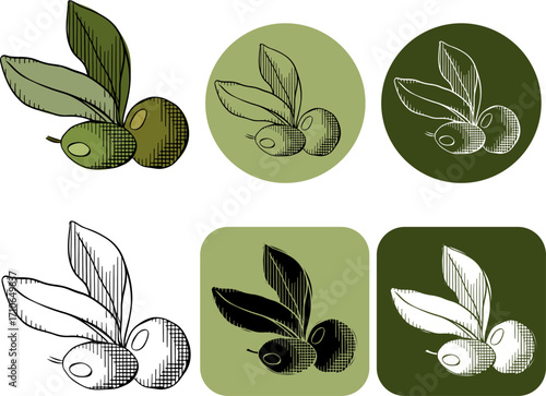 green vector olive branch logo. Olives oil sign. Vector graphic line ink colored illustration. Symbol of peace. Greek religious sign. Mythological icon Healthy products label.