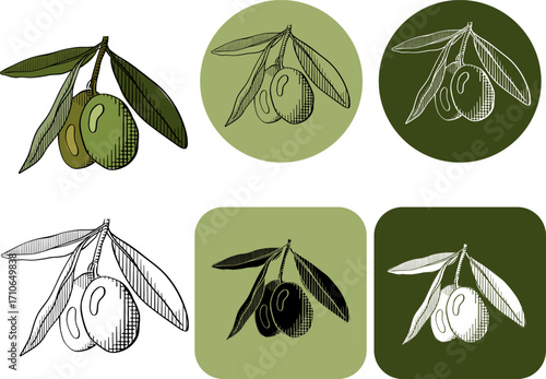 green vector olive branch logo. graphic line ink colored illustration. Mythological icon. Healthy products label. Organic cosmetics. Eco food Natural element Agricultural item
