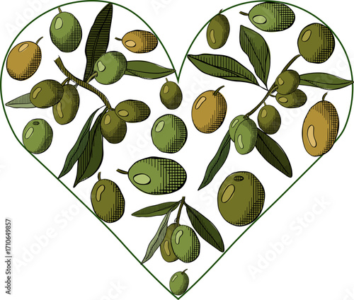 Olive berry branch with green leaves heart composition logotype. Vector graphic line ink colored illustration. for st valentines day with love symbol for cooking, condiment and culinary ingredient