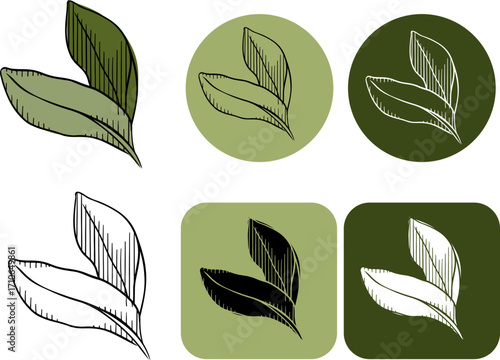green leaves logotype. Vector graphic line ink colored illustration. Silhouette sign for logo, print, comics, fashion, pop art, boards, design, stickers, decoration, posters