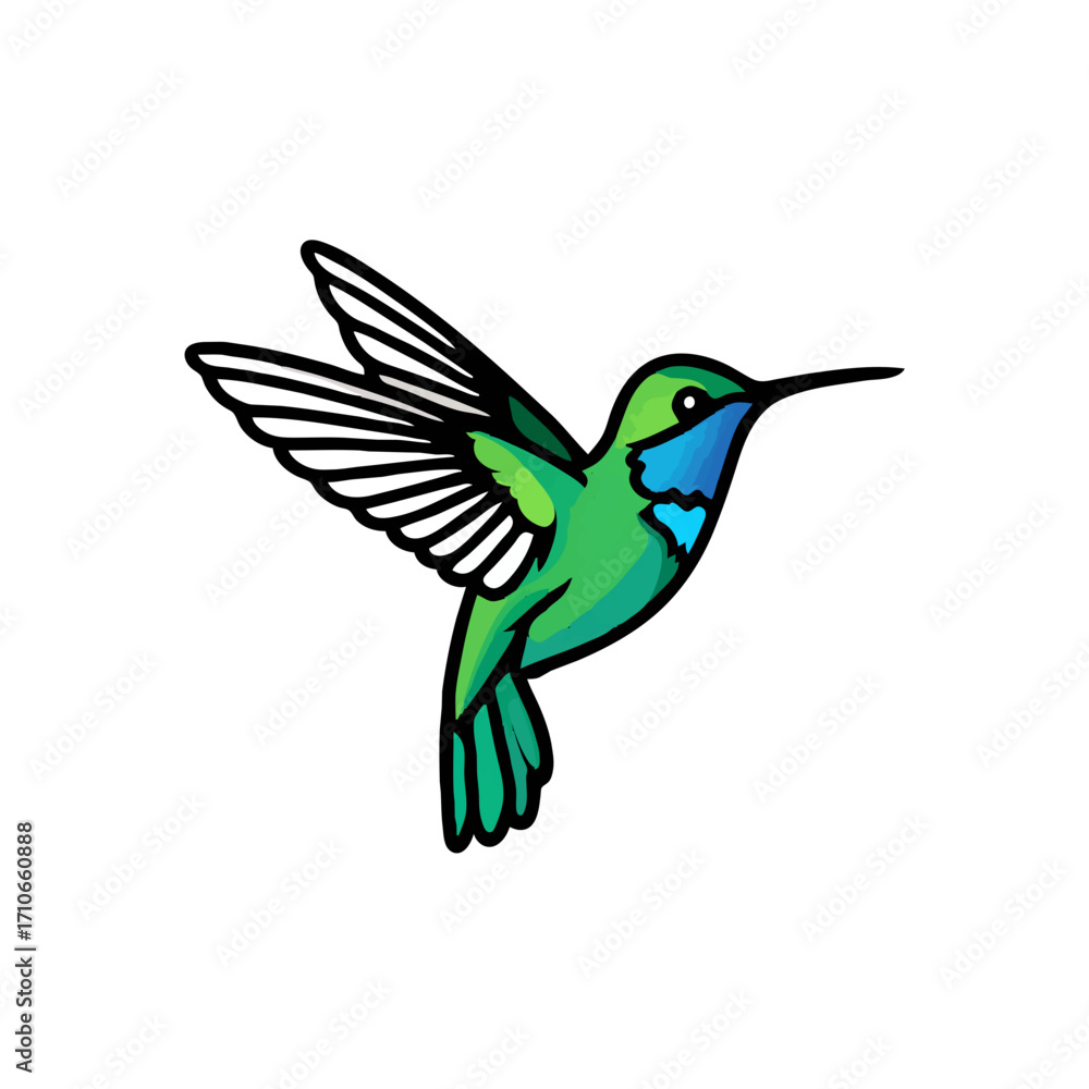 Fototapeta premium Green Hummingbird Flying with Wings Spread on White