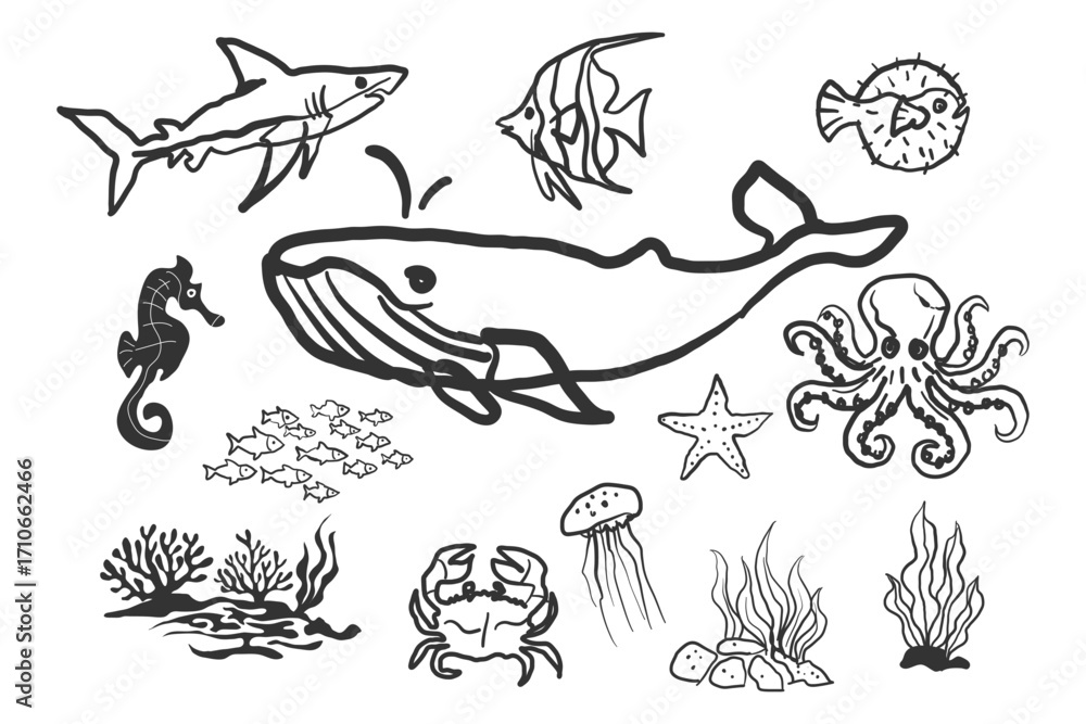 Obraz premium Hand drawn sea life icon set with ocean animals in a doodle sketch style