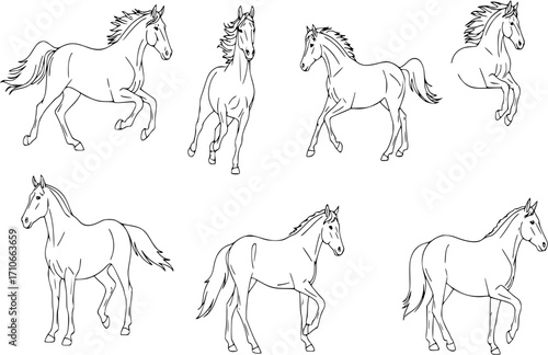 Vector Horse icons set.

