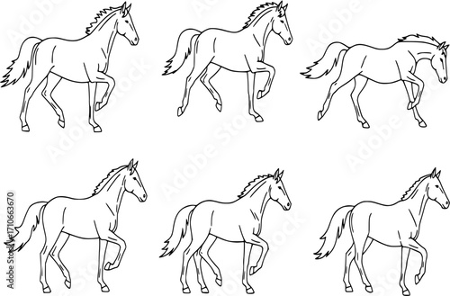 Vector Horse icons set.
