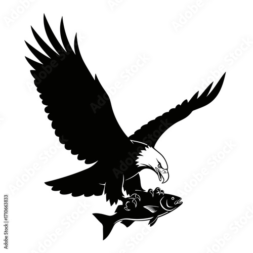Bald eagle flying with prey fish in talons silhouette