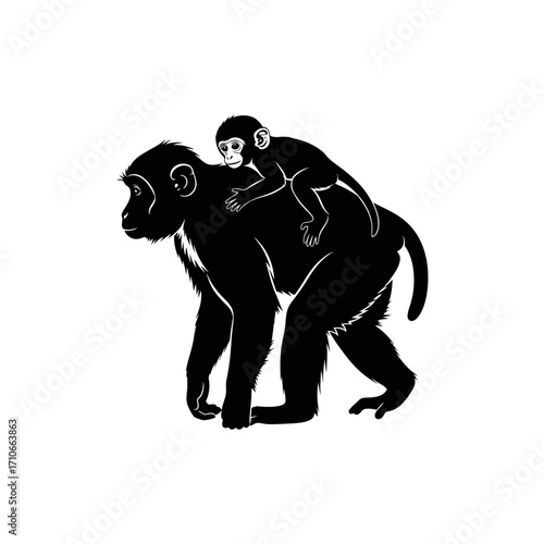 Silhouette of a mother monkey carrying her baby on her back