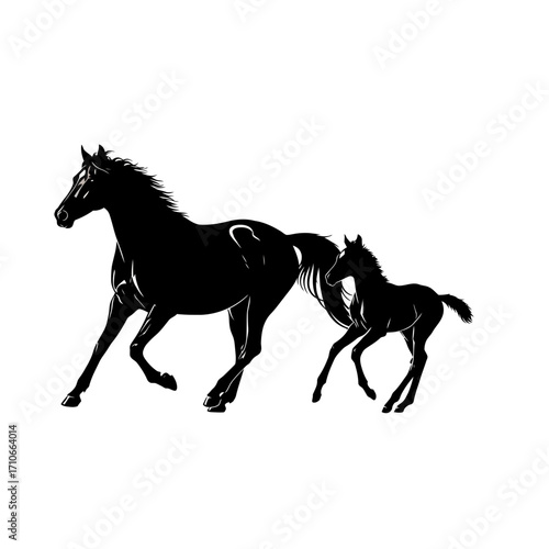 Silhouette of a mother horse and its foal running together