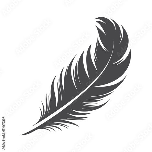 Elegant detailed gray feather gracefully arches against a stark white backdrop showcasing simplicity