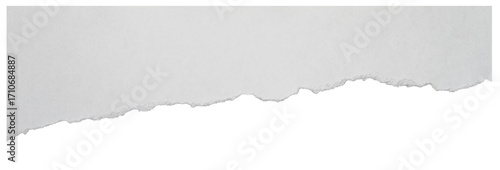 Torn paper element with soft rough border isolated