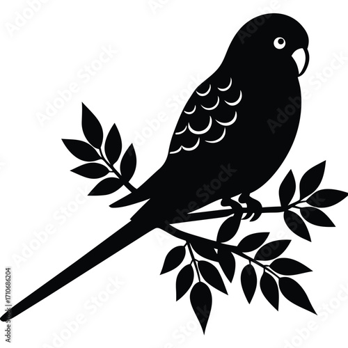 Silhouette of a budgie bird perched on a leafy branch on white background