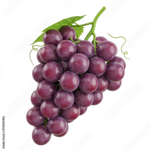Ripe Red Globe Grapes Still Life Fresh Fruit Vineyard Harvest Healthy Eating Antioxidant Rich on transparent background