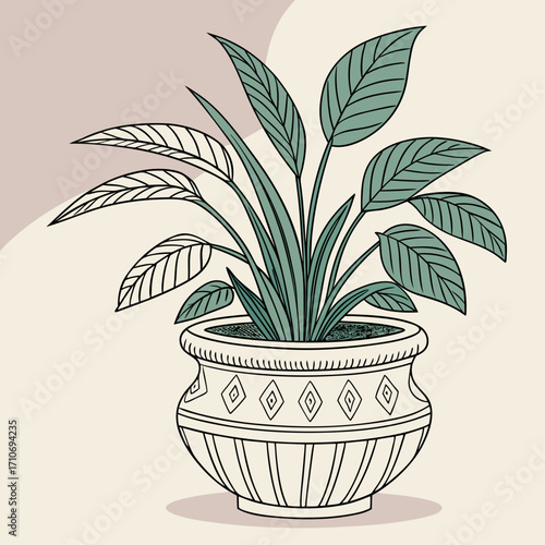 Stylish houseplant in a decorative pot with lush green leaves illustration