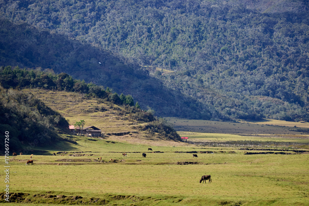 Fototapeta premium Vast and breathtaking, the Huaylla Belén Valley in Amazonas, Peru unfolds in gentle curves of grassland and water—where the Andes and sky meet in quiet harmony.