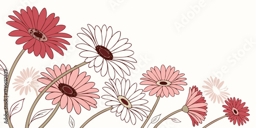 Delicate gerbera daisies bloom in a cheerful pink and red palette, perfect for greeting cards and spring designs.