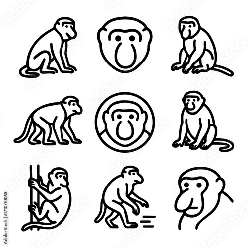 Nine line-art illustrations of proboscis monkeys in various poses and views.